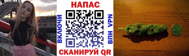 даркнет наркотические препараты Ханты-Мансийск Шишки марихуана план купить